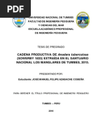 CADENA PRODUCTIVA DE Anadara Tuberculosa (Sowerby 1833) Extraída en El Santuario Nacional Los Manglares de Tumbes, 2015