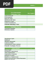 Perfil Estrategico Interno