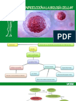 Biolg - La Célula