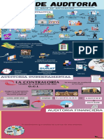 Tipos de Auditoria