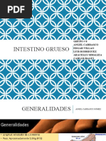 Intestino Grueso: Grupo # 8 Angel Carrasco Edgar Villao Luis Rodriguez Aracelly Simaliza Carlos Bagui