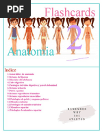 Anatomia: Flashcards