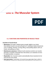 Human Physiology Chapter 4 - End