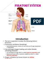 11 Respiratory Pharma Print