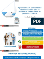 Vigilancia ESAVI. Generalidades y Especificaciones para Su Inclusión Al Sistema de VE en Pandemia COVID-19