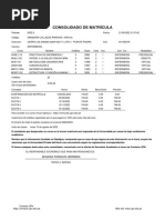 Consolidado de Matrícula: Zenaida Pardave Herrera