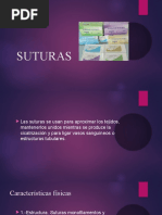 Suturas