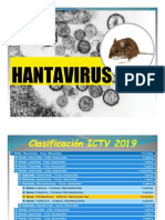 Teoría Hantavirus 2020