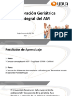 Valoración Geriátrica Integral Del AM: Equipo Docente de ENF 701 2021