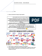 Trabajo Practico N 1 NIVELES DE ORGANIZACION