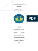 Kelompok 12 - Radiasi Eksternal Kanker Rahim - FISMED2022