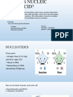 Nucleic Acid