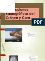 Clase 5 - Proyecciones de Cráneo y Cara