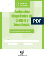 Evaluación Diagnóstica (1°)