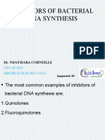 Inhibitors of Bacterial Dna Synthesis: Dr. Ndayisaba Corneille