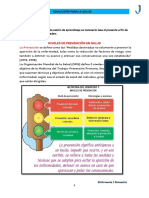 Niveles de Prevencion