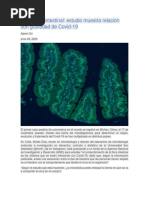 Microbiota Intestinal