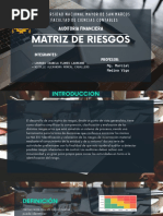 Matriz de Riesgos