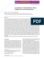 Spatial Anisotropy Analyses of Subcutane