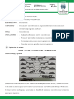 Y Sus Tecnologías Fecha Disciplina Eje Temático: Fundamentos. Capacidad