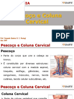 PESCOÇO E COLUNA CERVICAL - Cópia