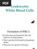 Leukocytes White Blood Cells