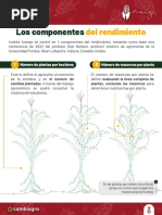 Los Componentes: Del Rendimiento