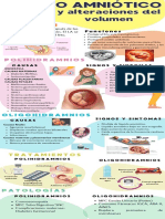 Infografía 4