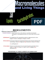 Macromolecules and Living Things