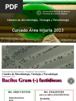 2 Bacilos Gram Negativos Fastidiosos