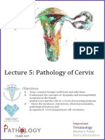 24 - Pathology of Cervix