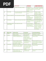 Sistema Muscular 5