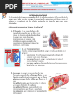 D1 A2 FICHA ¿Cómo Funciona Nuestro Sistema Circulatorio