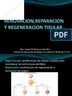 Clase 5 RENOVACION, REPARACION Y REGENERACION TISULAR Clase Virtual 2022