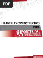 Plantillas Con Instructivo Para: Reportes Dsi