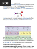 PROTEINAS