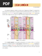 FCV05. Ciclo Cardíaco - Dr. Dylan Bartels