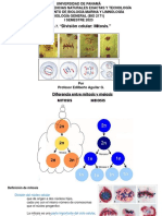 División Celular: Mitosis.