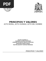 Principios y Valores