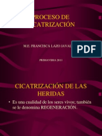 Proceso de Cicatrizacion