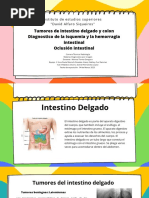 Tumores de Intestino Delgado y Colon Diagnostico de La Isquemia y La Hemorragia Intestinal Oclusión Intestinal