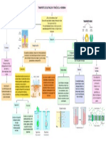 Transporte de Membrana