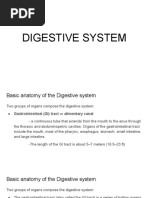 Digestive System