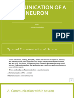 2 - Communication of A Neuron Part C & D