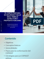 Copasst Estructura y Propósito Funcional