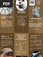 Triptico Metalografia