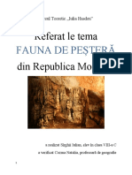 Fauna de Pestera