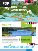 Ecosistema Acuatico PDF