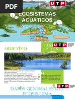 Ecosistema Acuatico