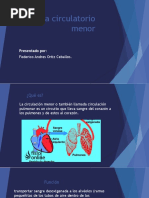 Sistema Circulatorio Menor PDF